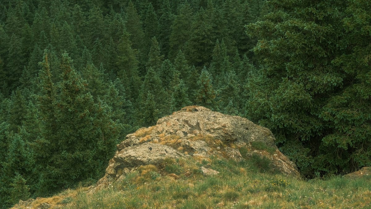 Mount Buller guide foto 2