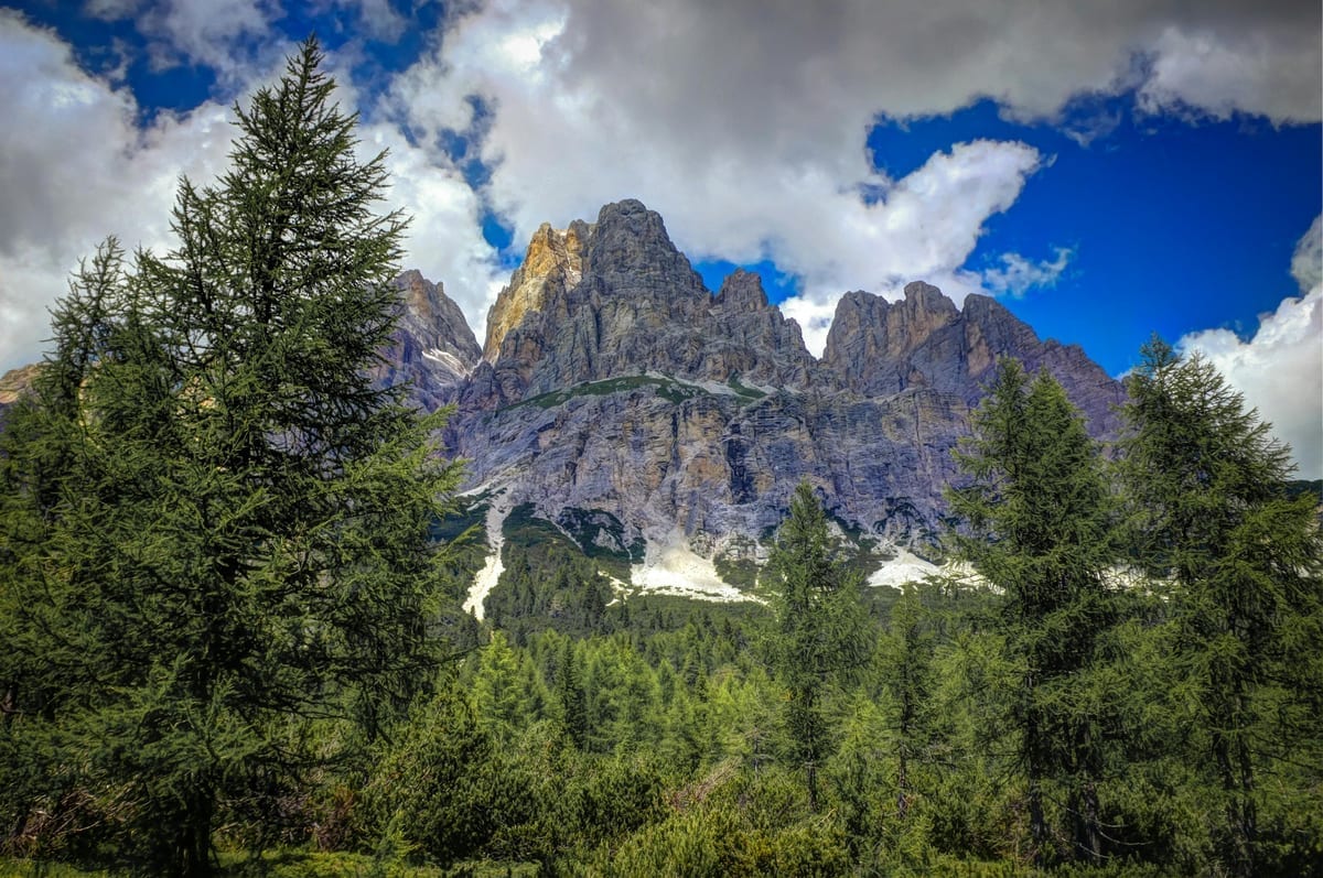 Mount Buller guide foto 3