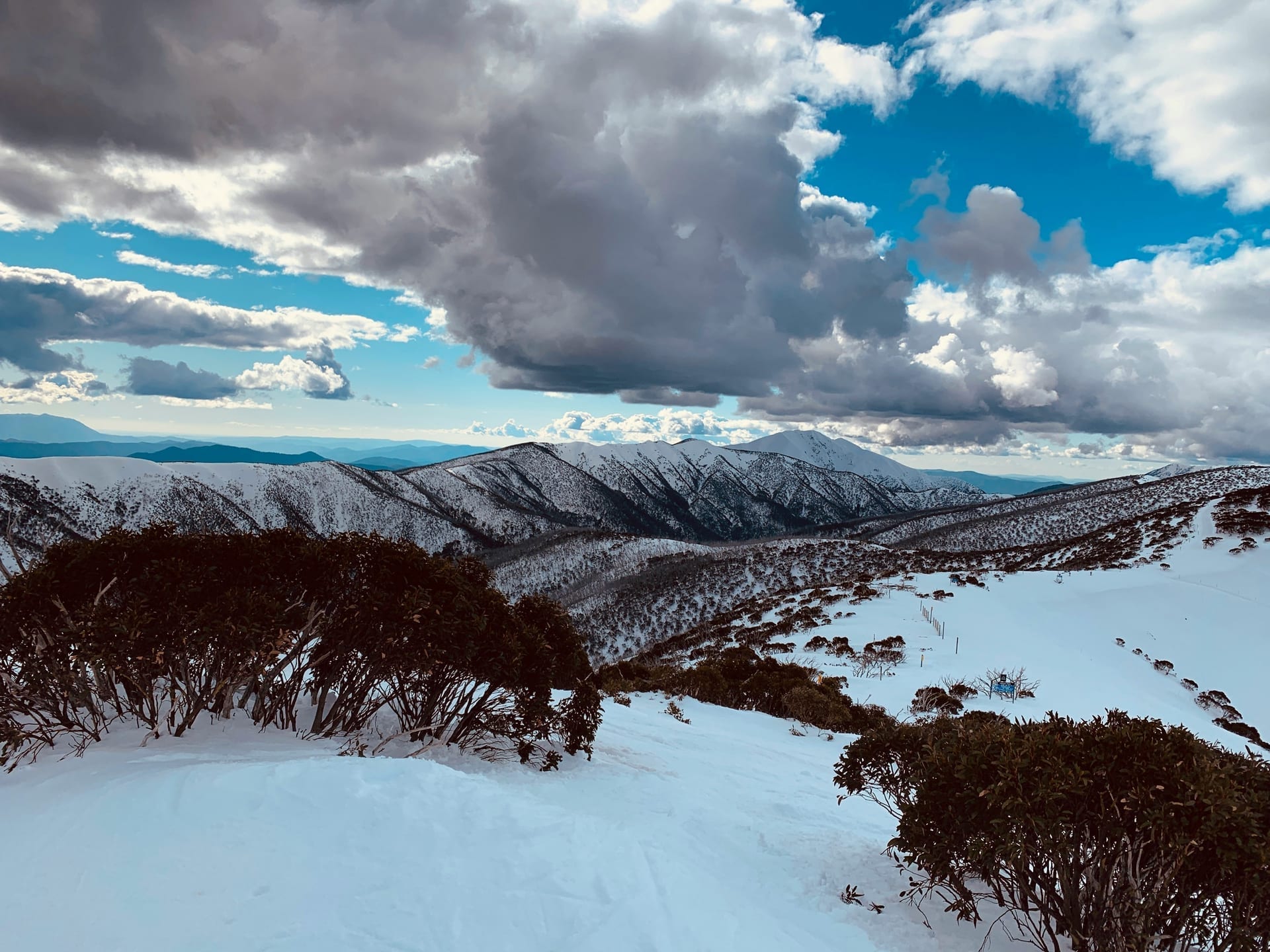 Mount Hotham nature