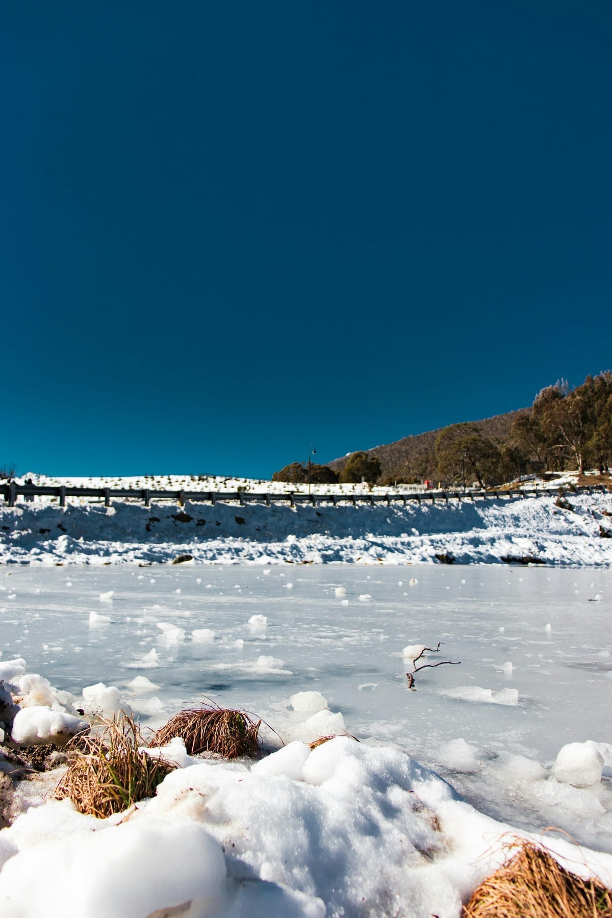 Thredbo guide foto 2