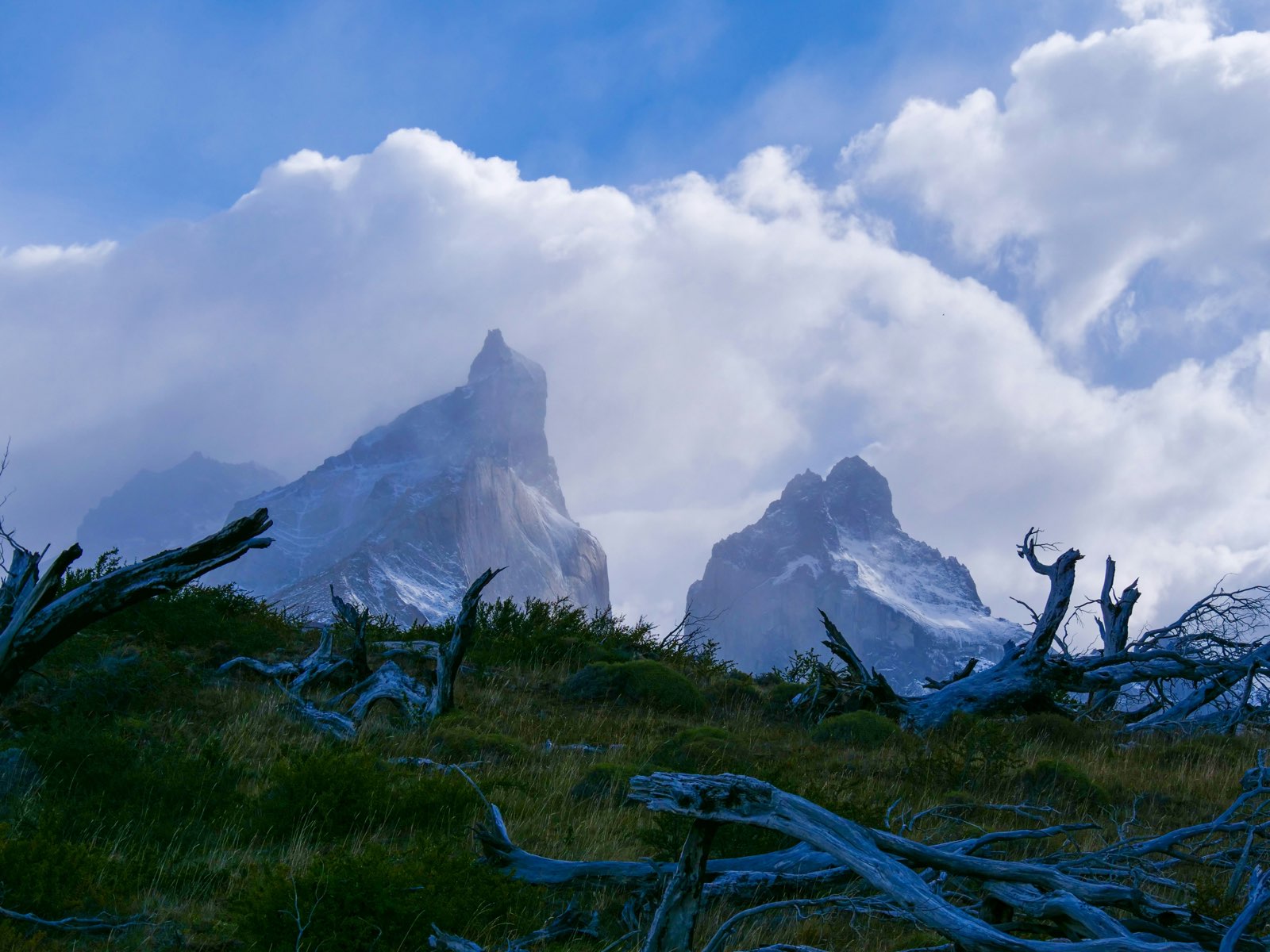Puerto Natales guide foto 4