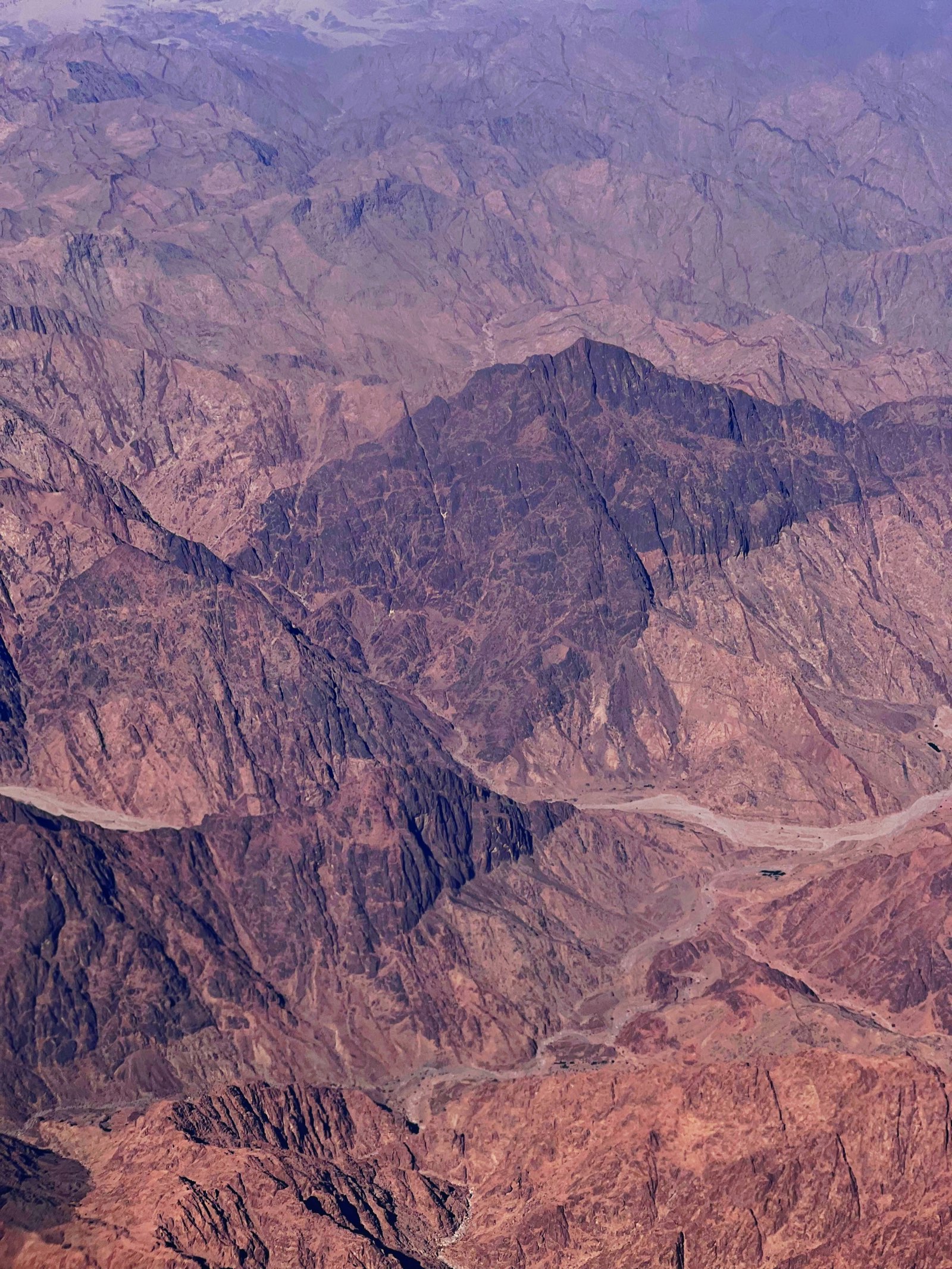 Puerto Ayora (Santa Cruz) nature