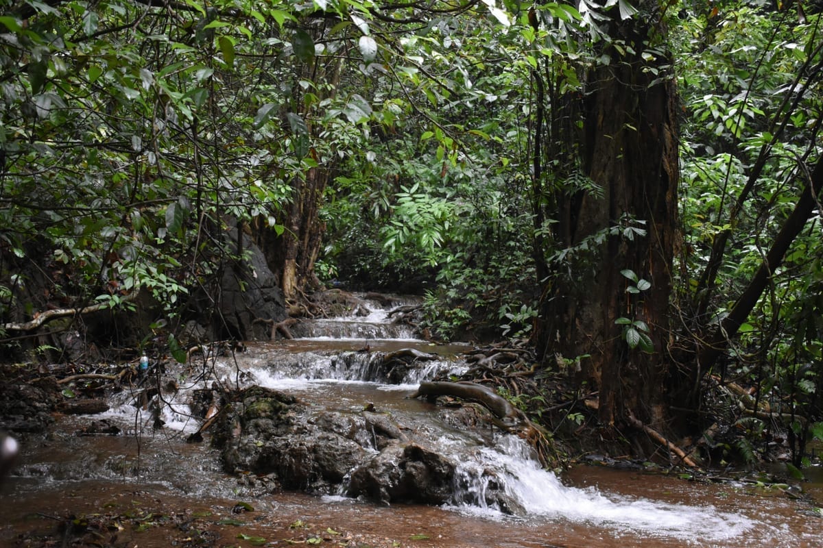 Gokarna guide foto 1