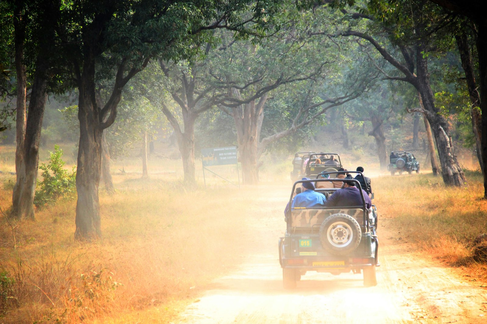 Umaria (Bandhavgarh) guide foto 2