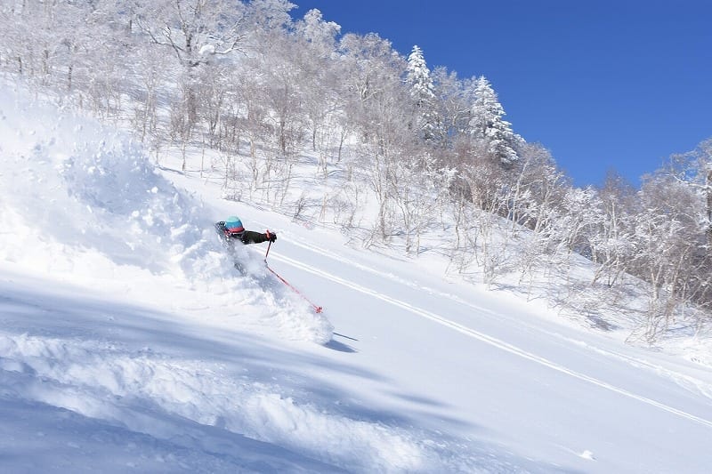 Sapporo ski