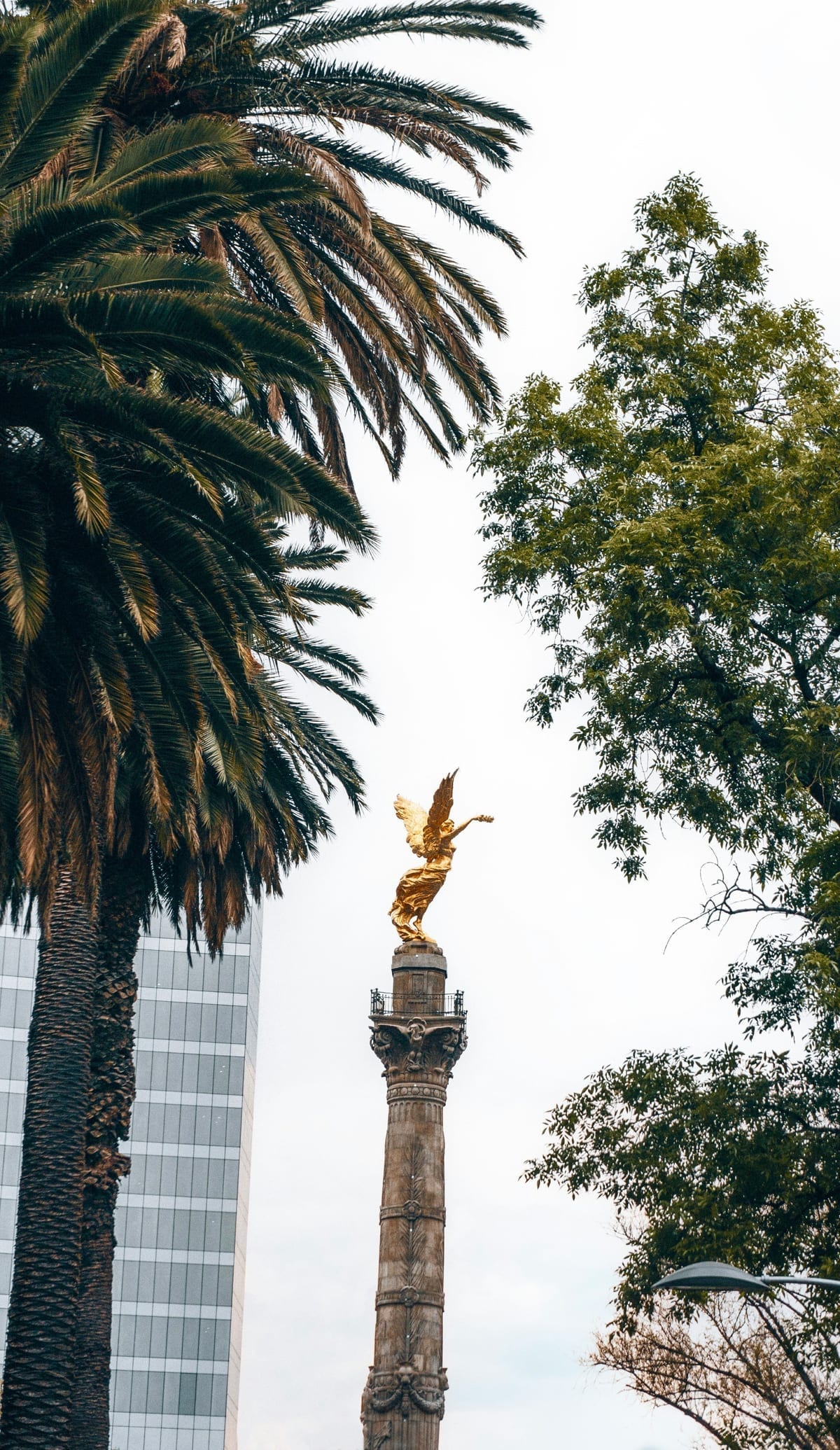 Mexico City guide foto 4