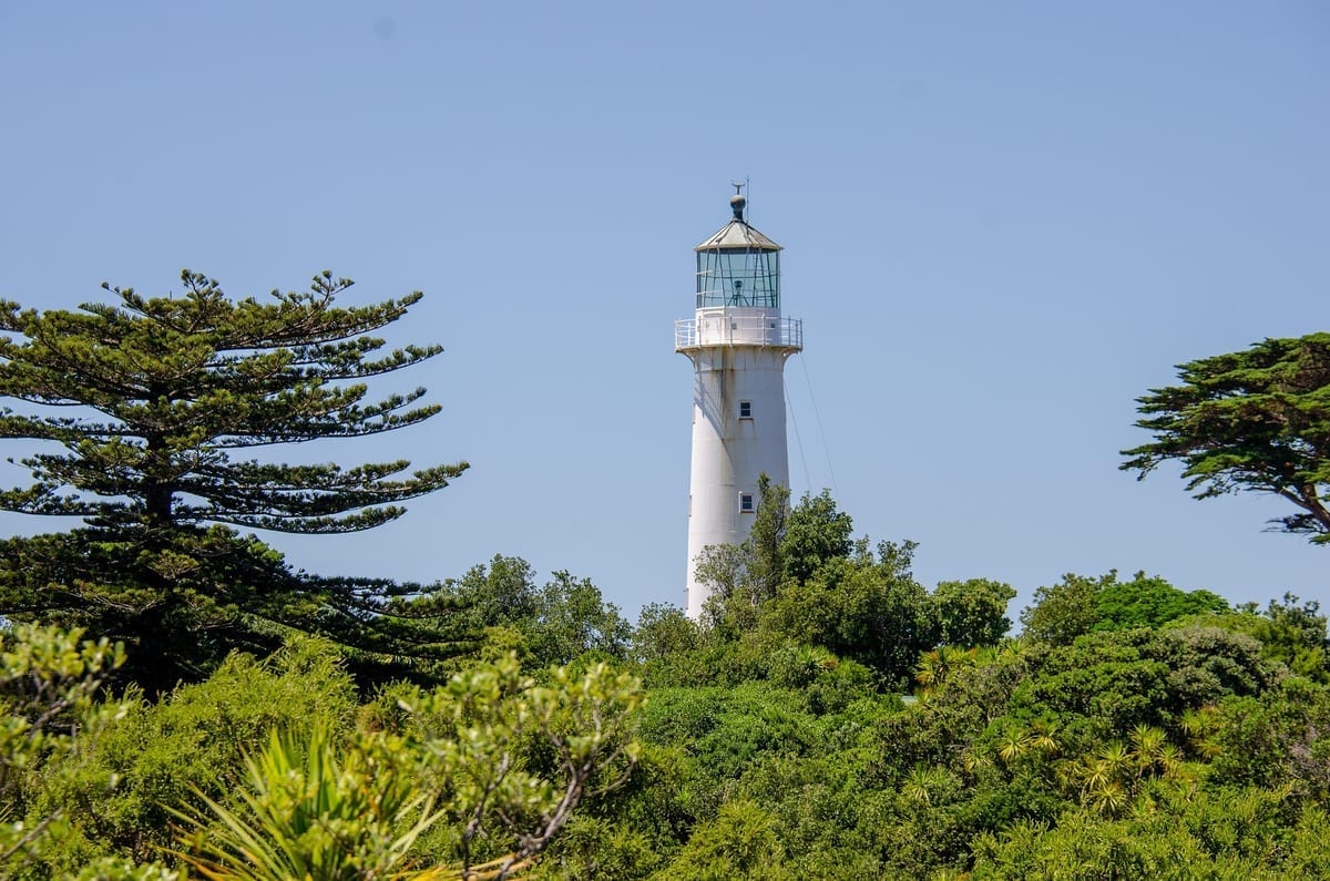 Auckland guide foto 4