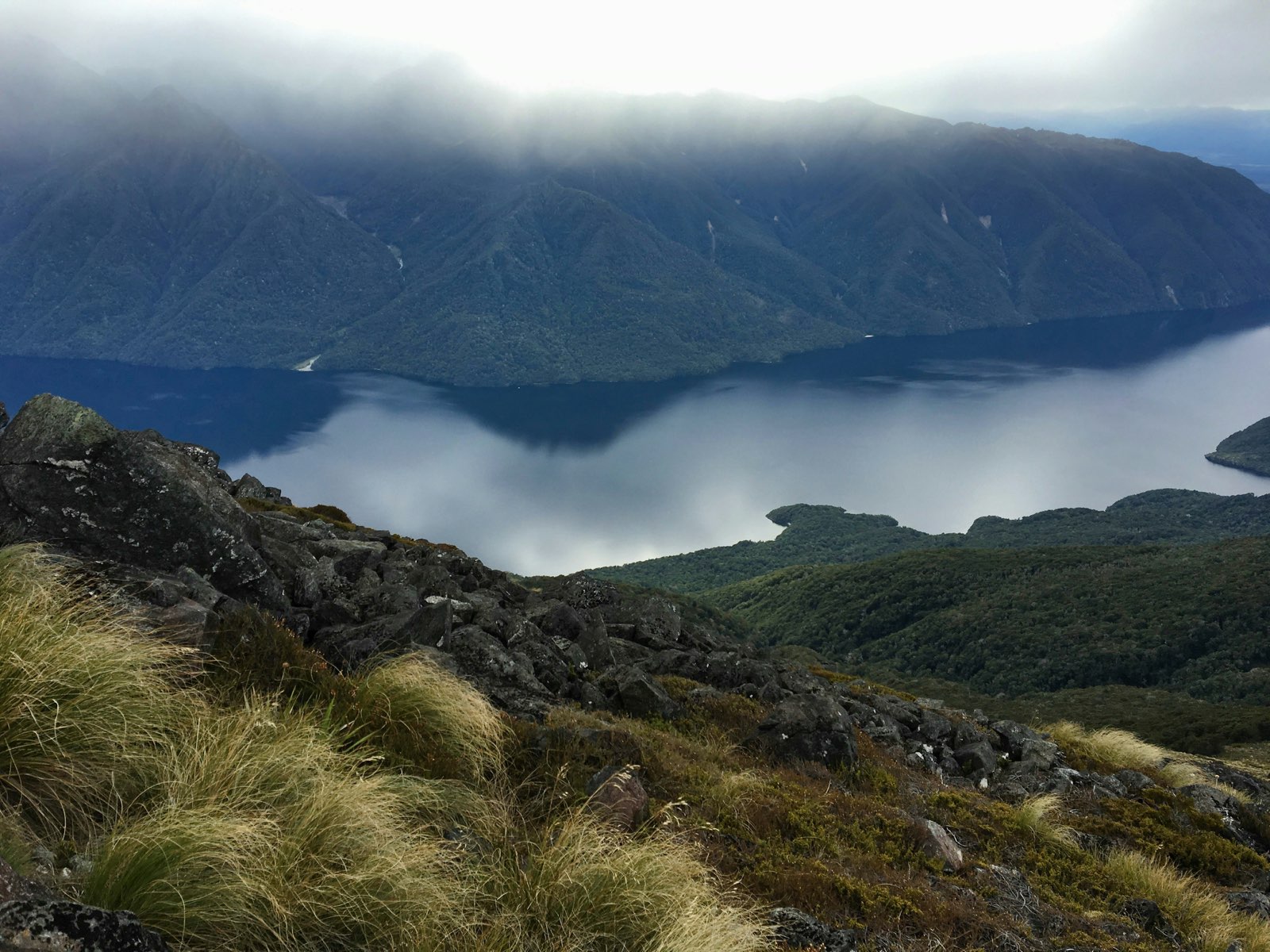 Te Anau guide foto 3