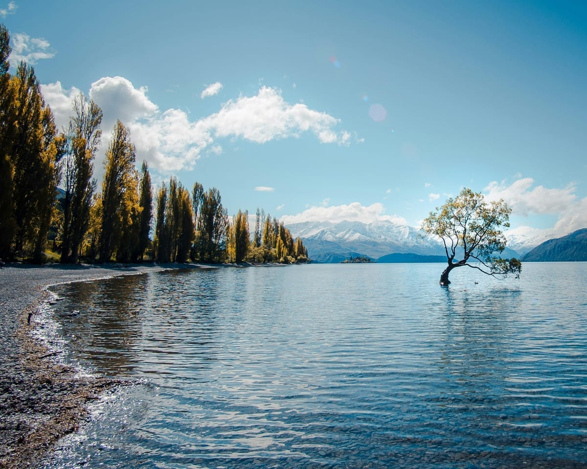 Wanaka guide foto 4