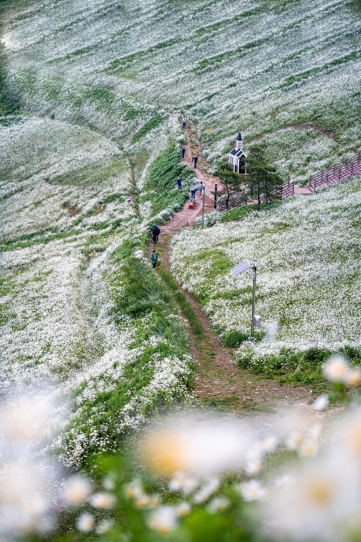 Pyeongchang guide foto 4