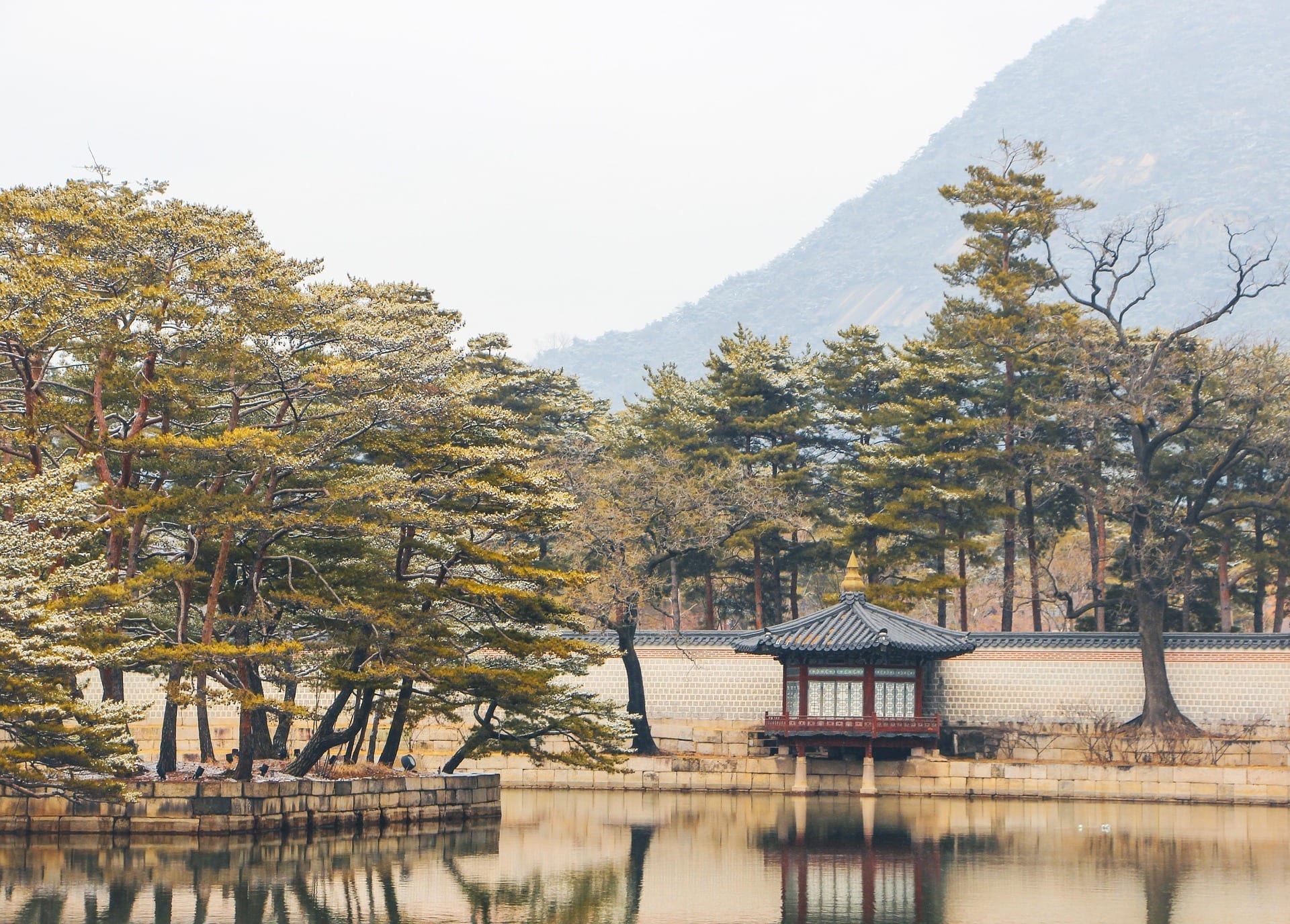 Seoul nature