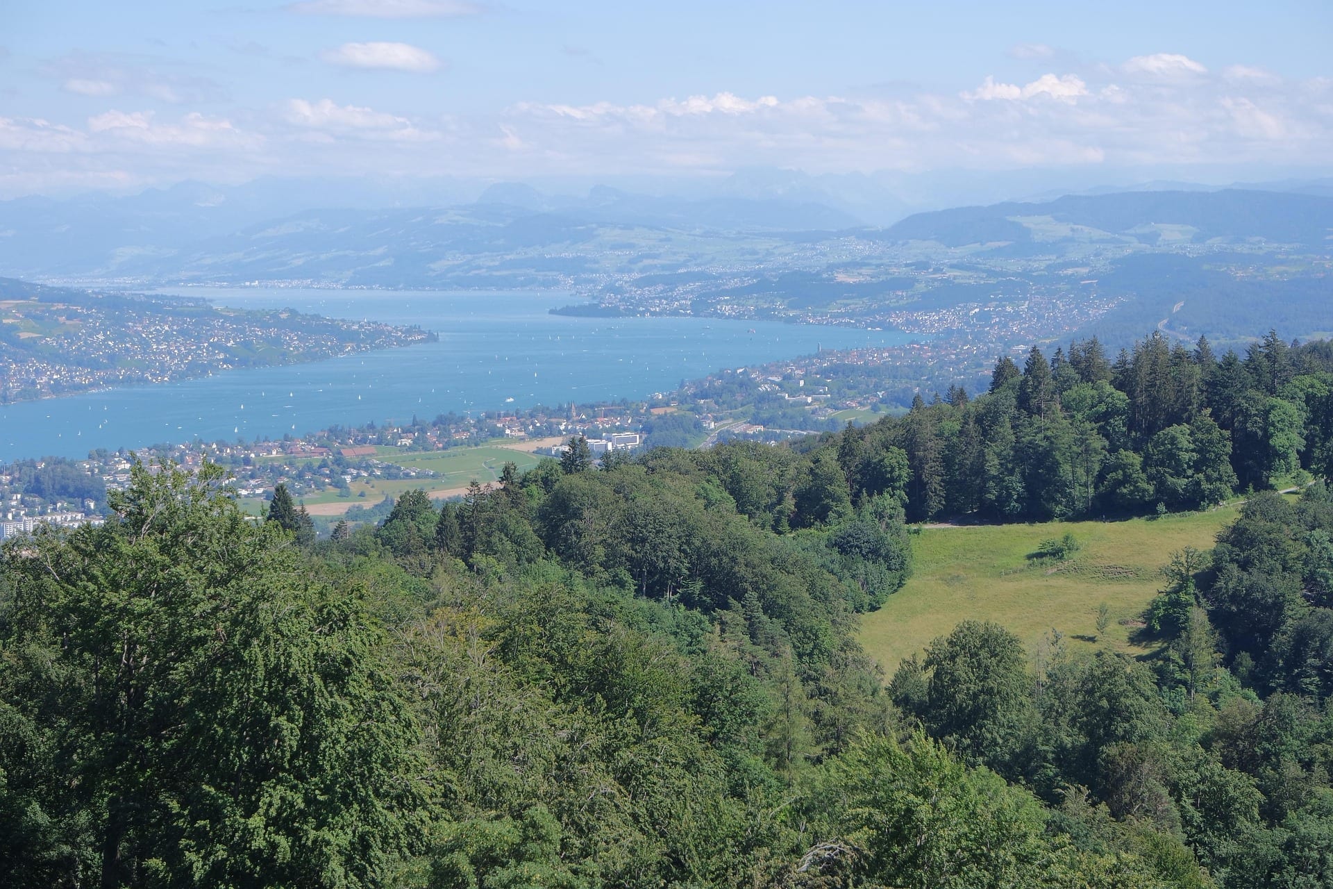 Zürich nature