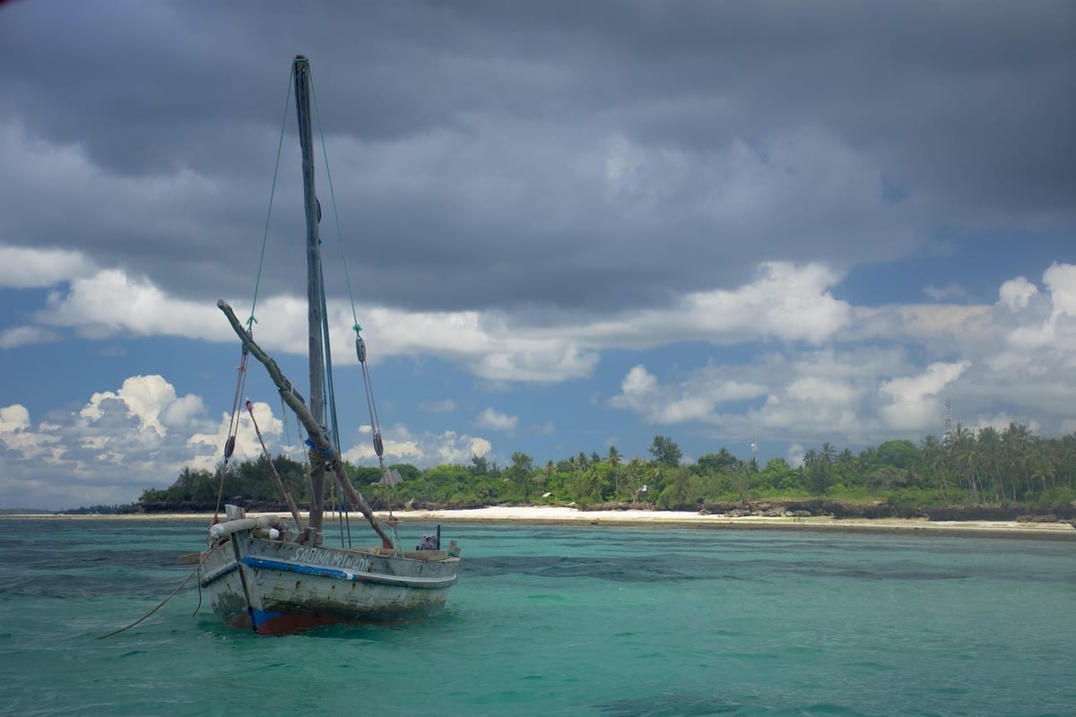 Zanzibar guide foto 1