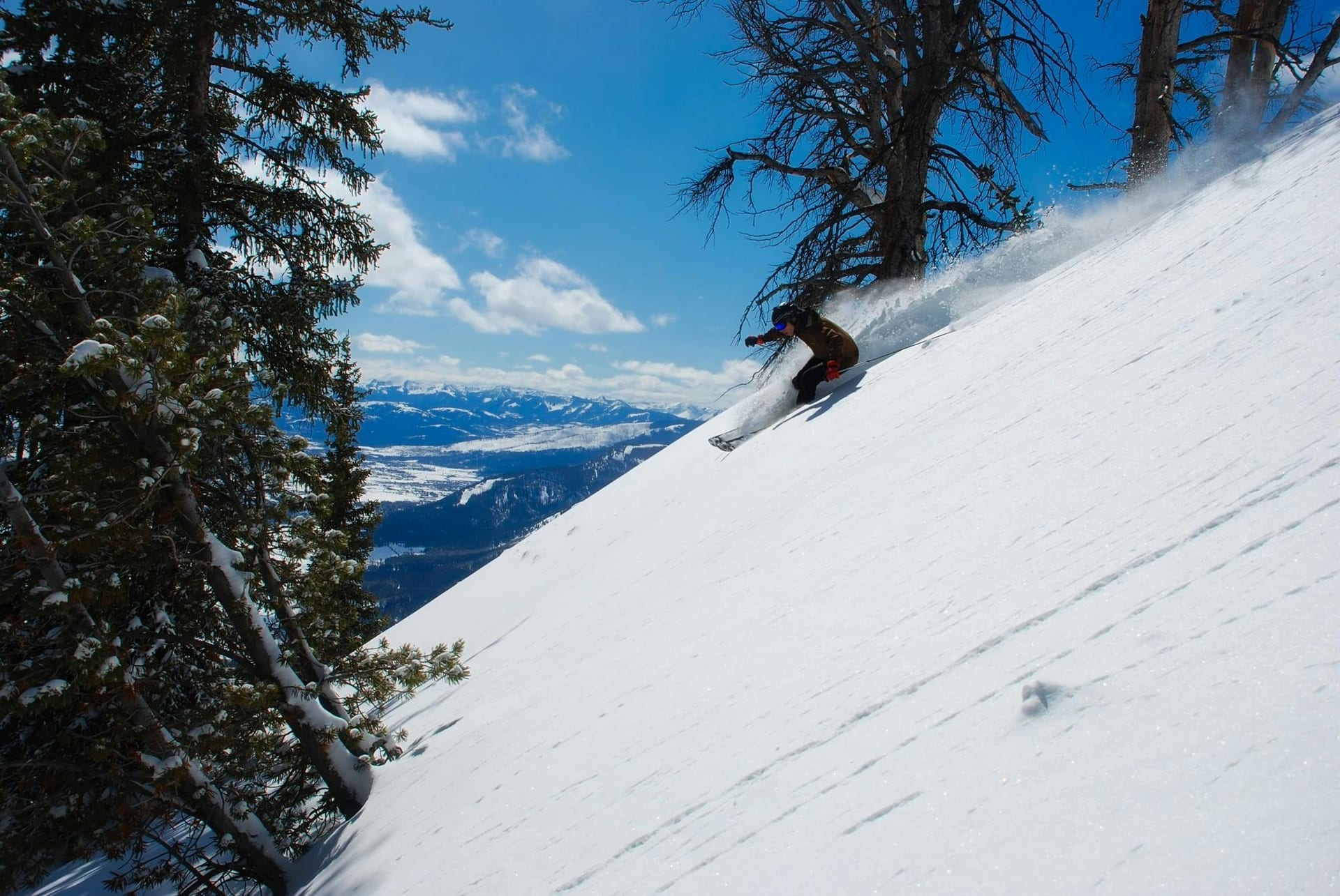 Jackson Hole ski