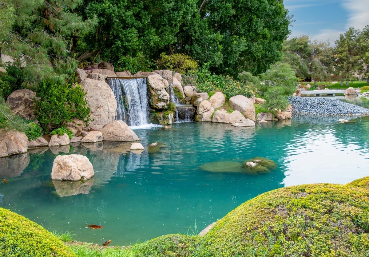 Phoenix guide foto 4