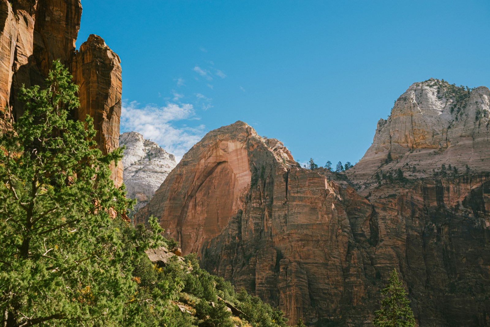 Springdale, Utah guide foto 2