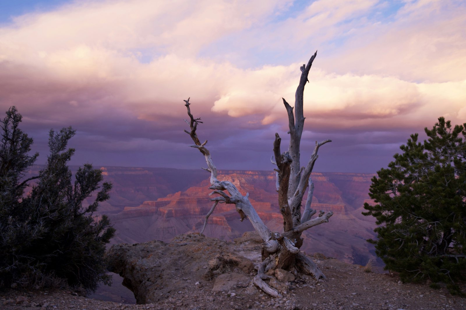 Tusayan, Arizona guide foto 2