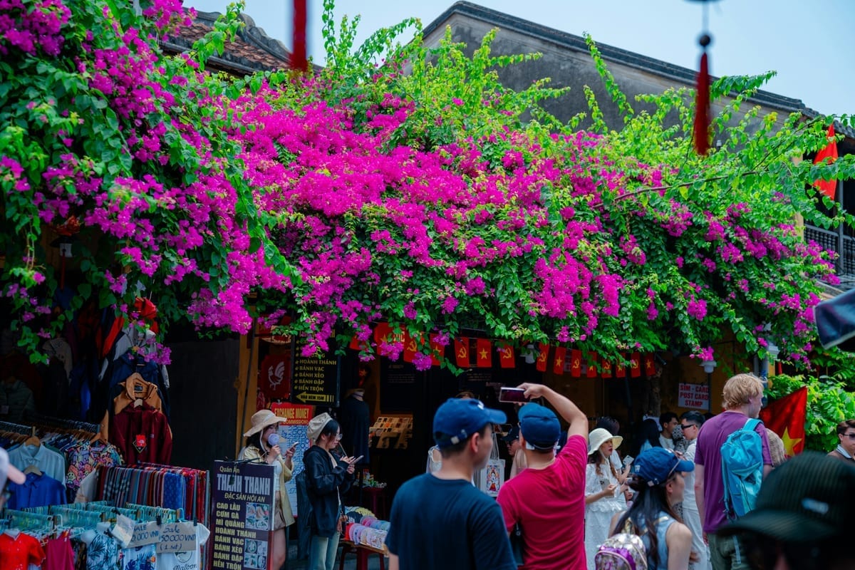 Hội An guide foto 2